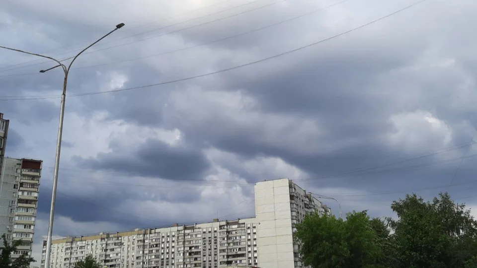 Фото: Александра Загороднова