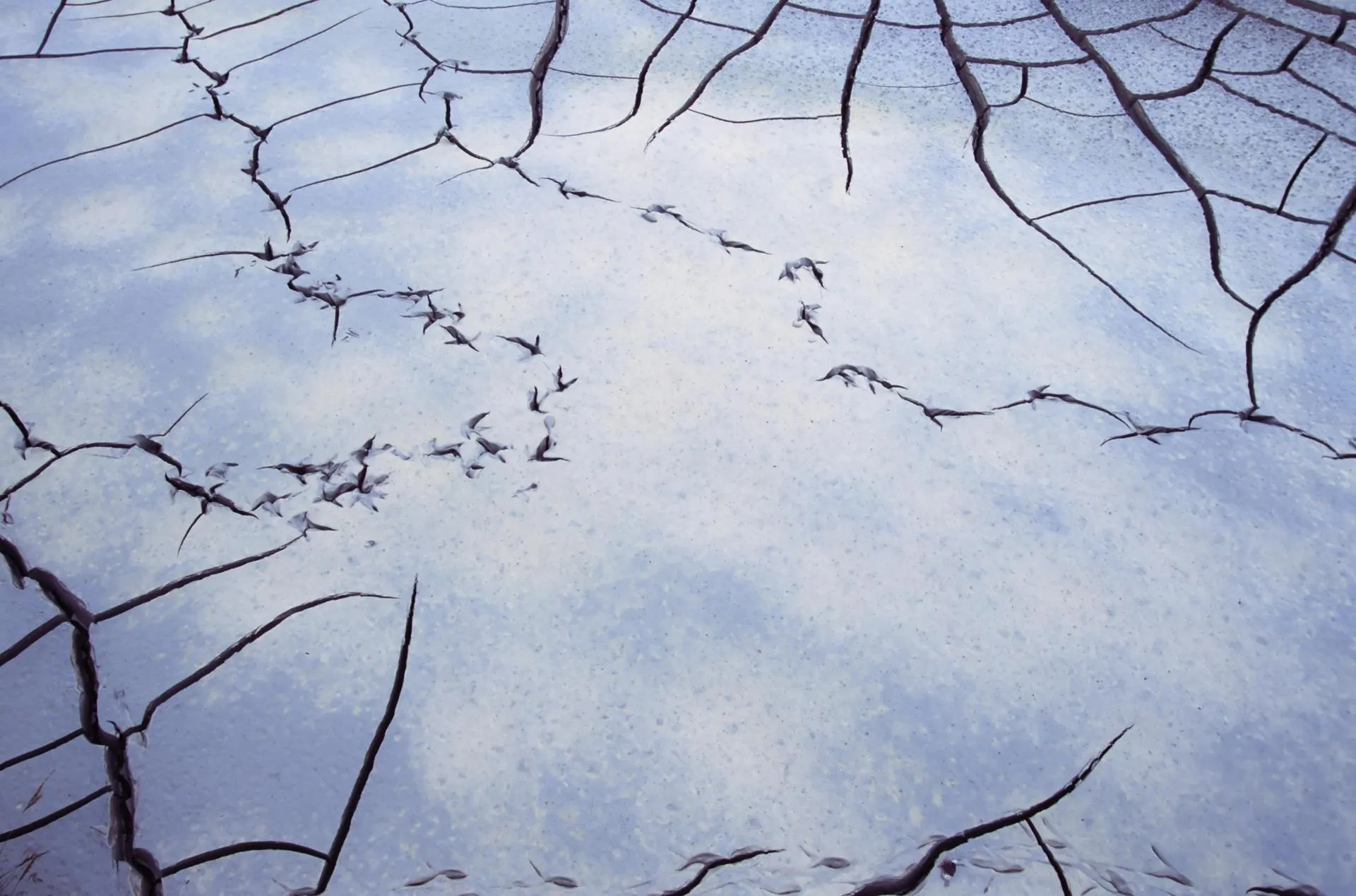 Karlheinz Irlmeier/http://imagebroker.com/#/search