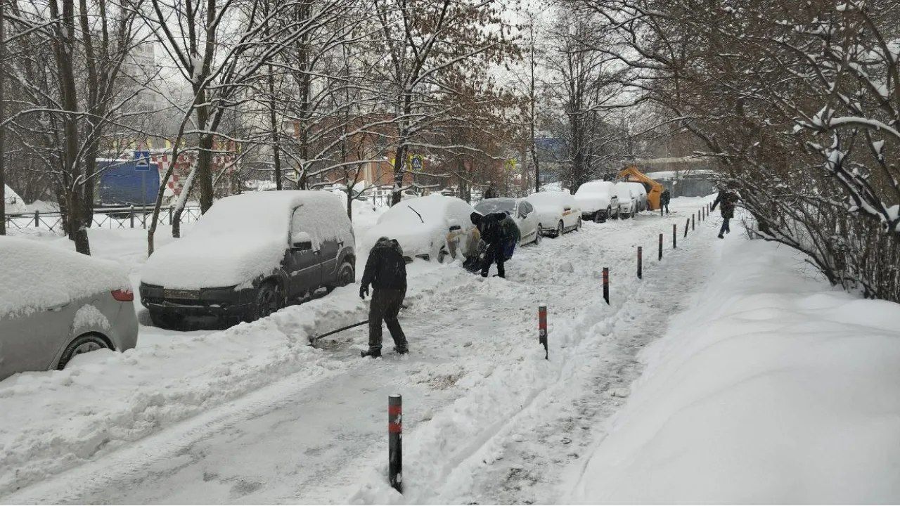 Картинка