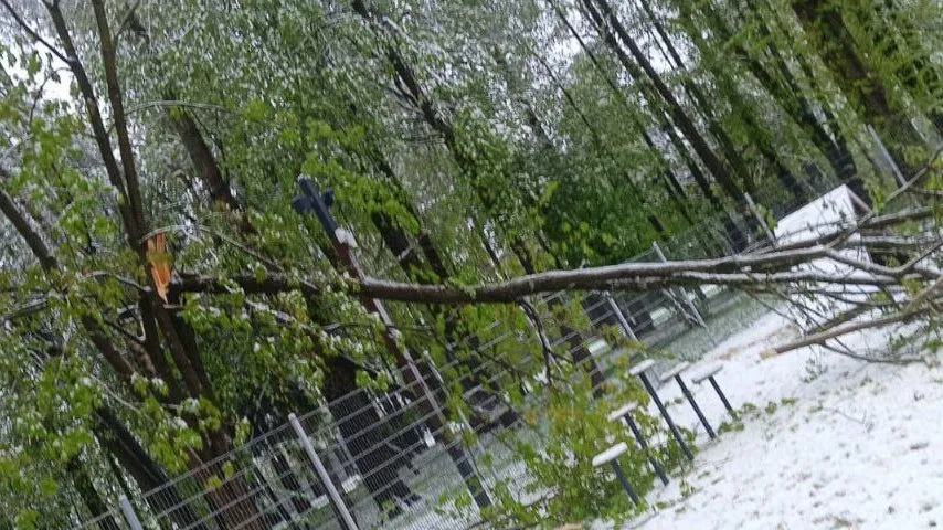 Фото: МБУК  «Городской парк культуры и отдыха»