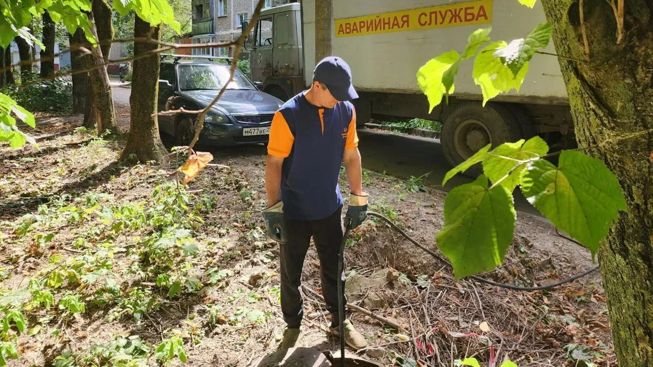 Картинка