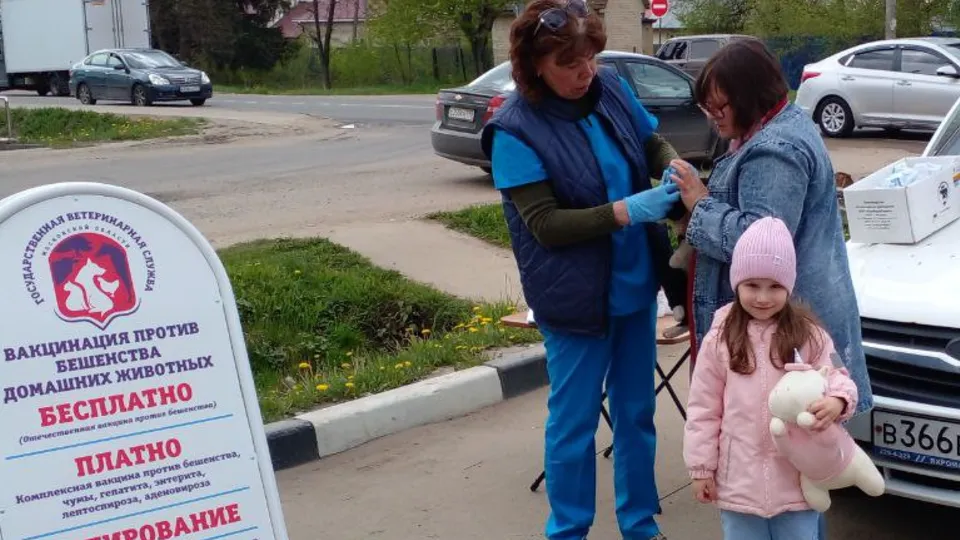 Фото: Дмитровская ветеринарная станция