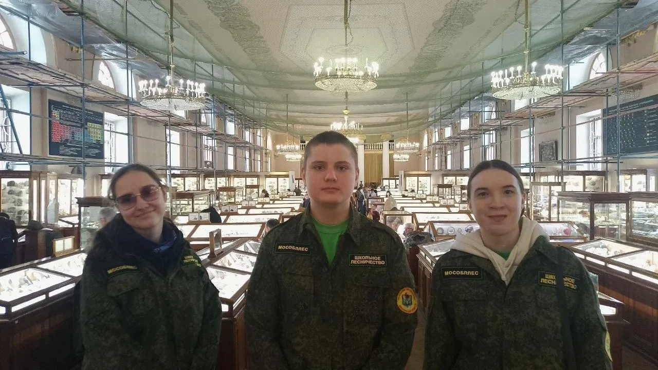 Фото: Комитет лесного хозяйства Московской области