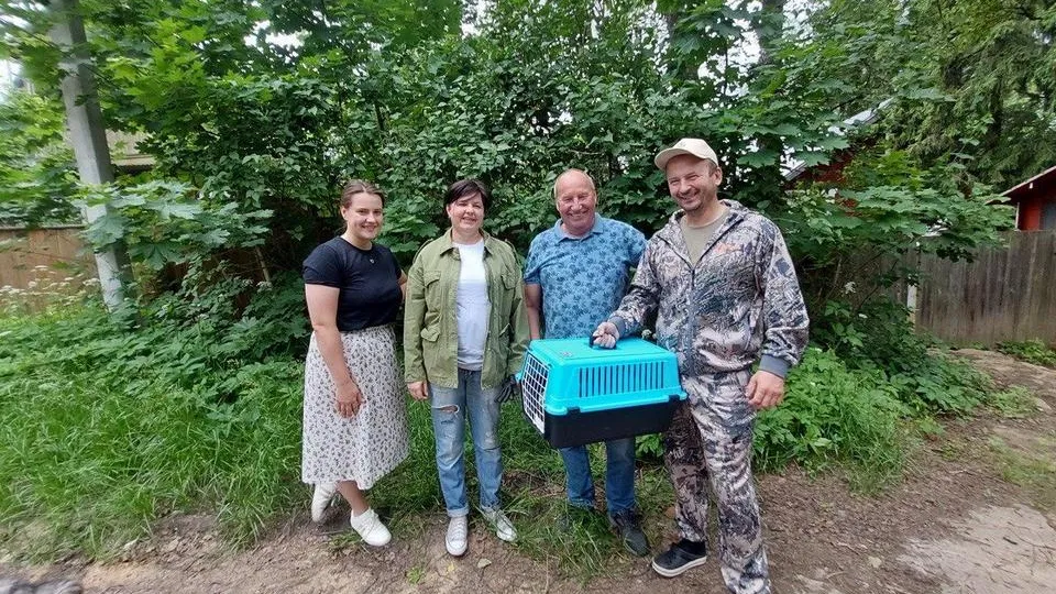 Фото: Пресс-служба Министерства экологии и природопользования Московской области