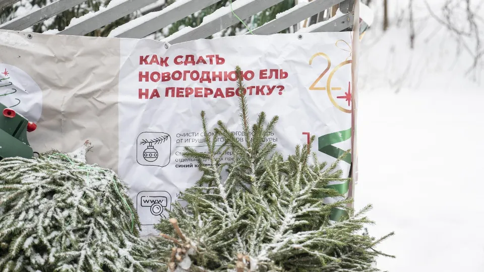 Фото: администрация Ленинского г.о.