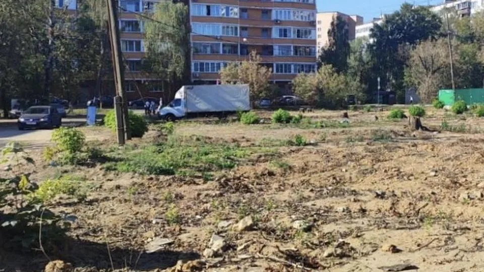Фото: Комитет по архитектуре и градостроительству Московской области