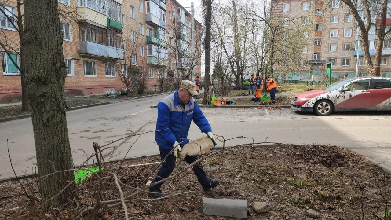 Картинка