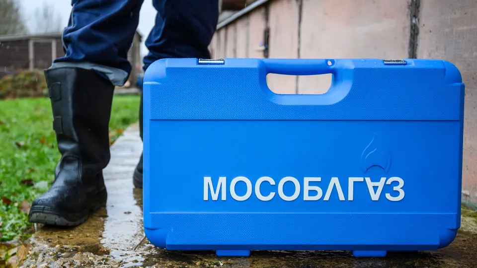 Фото: медиасток.рф