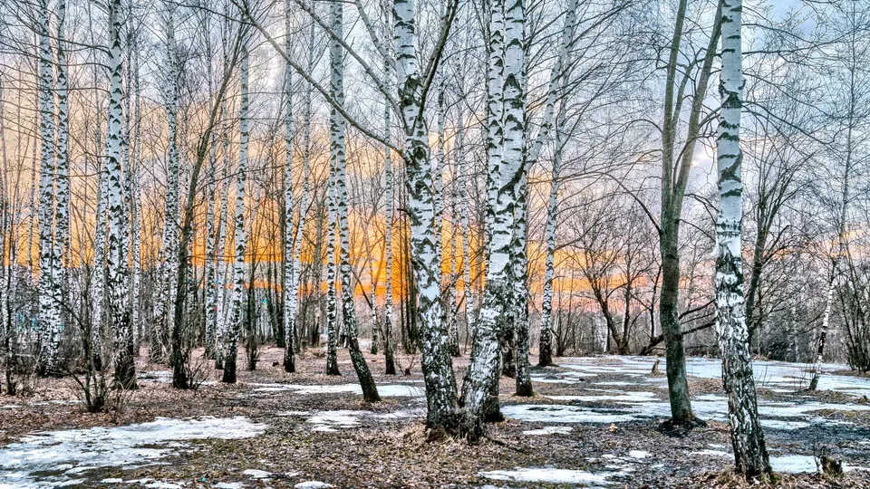Фото: Вячеслав Нестеров