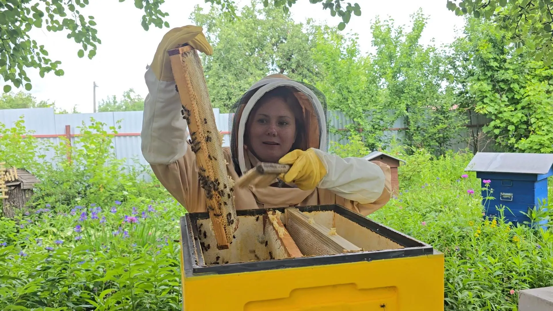 Картинка