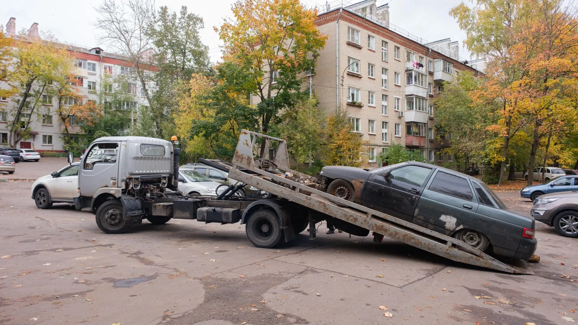 Картинка