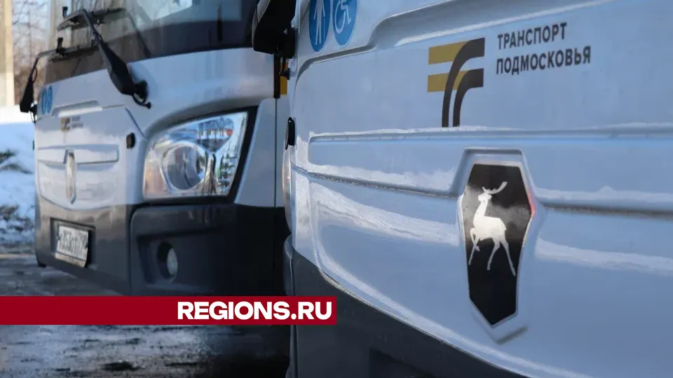Фото: REGIONS/Василий Тремасов