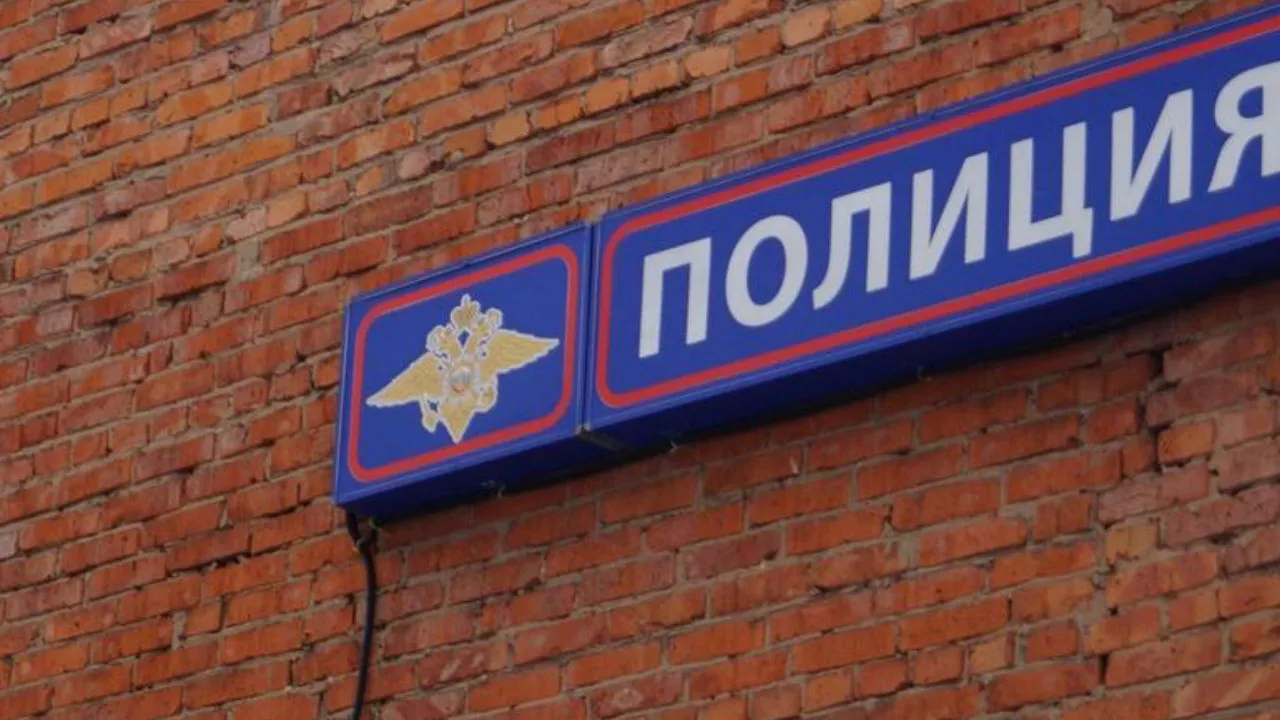 Фото: пресс-служба ОМВД Талдомского городского округа