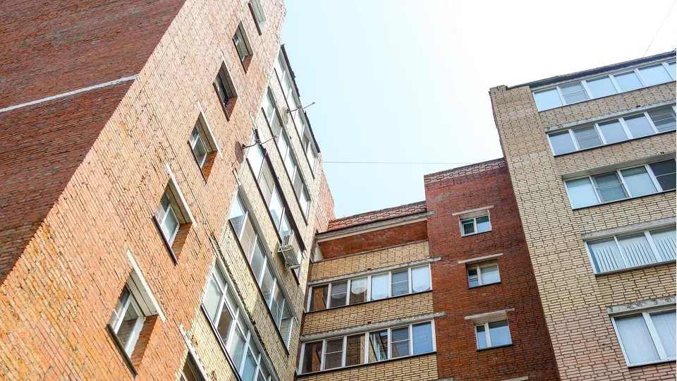 Фото: пресс-служба администрации г.о. Кашира