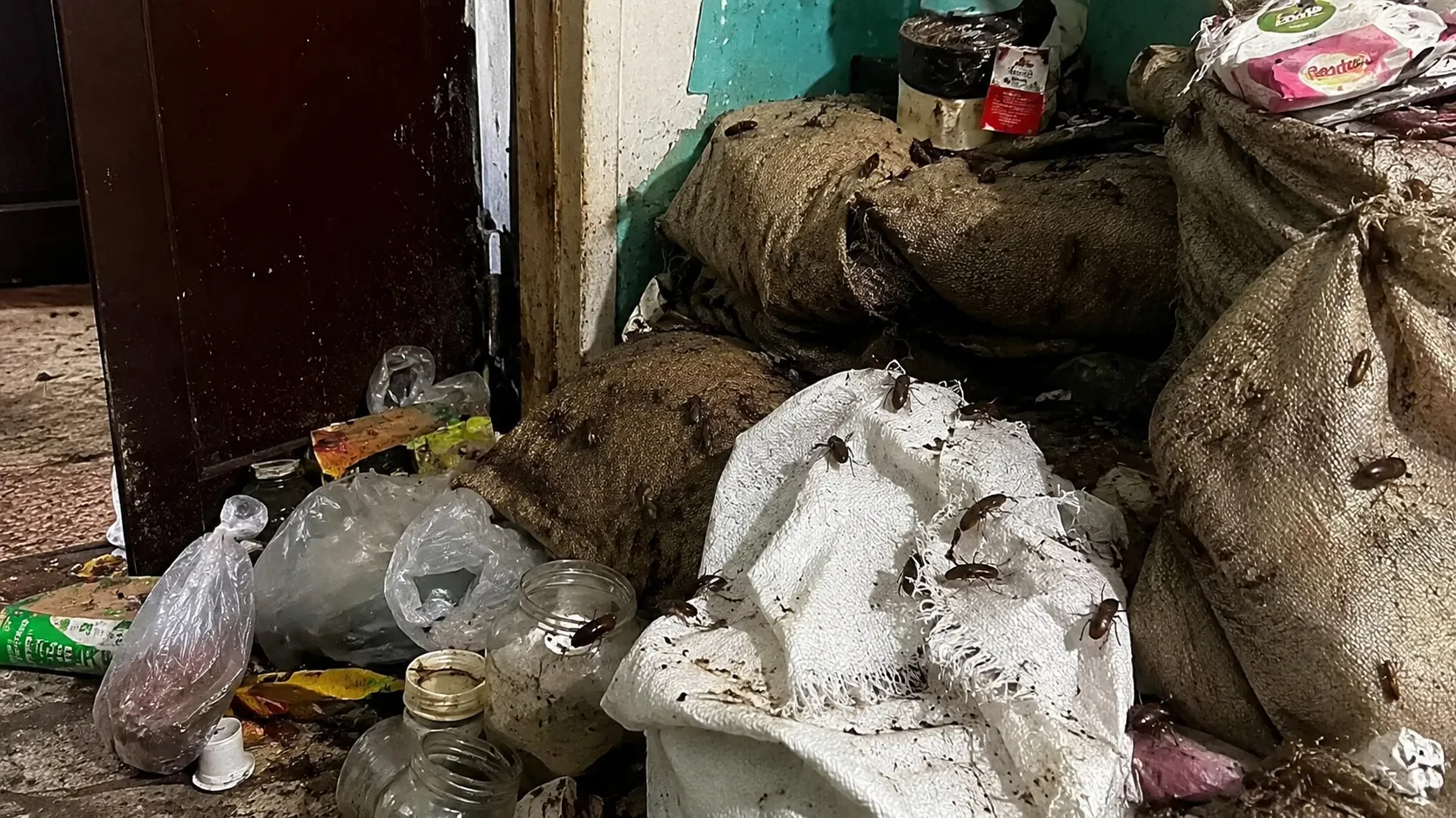 «Из мешков ползут тараканы»: в Самаре пенсионерка превратила квартиру и подъезд в зловонную свалку с крысами