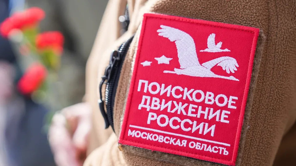 Фото: vk.com/Команда Губернатора Подмосковья