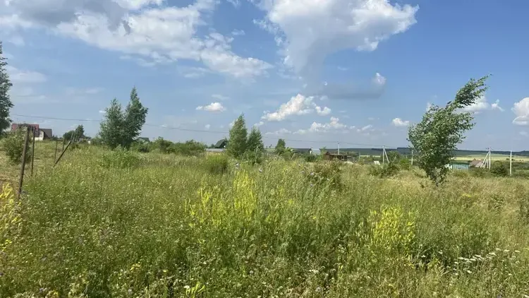 Участок на торгах в Подмосковье