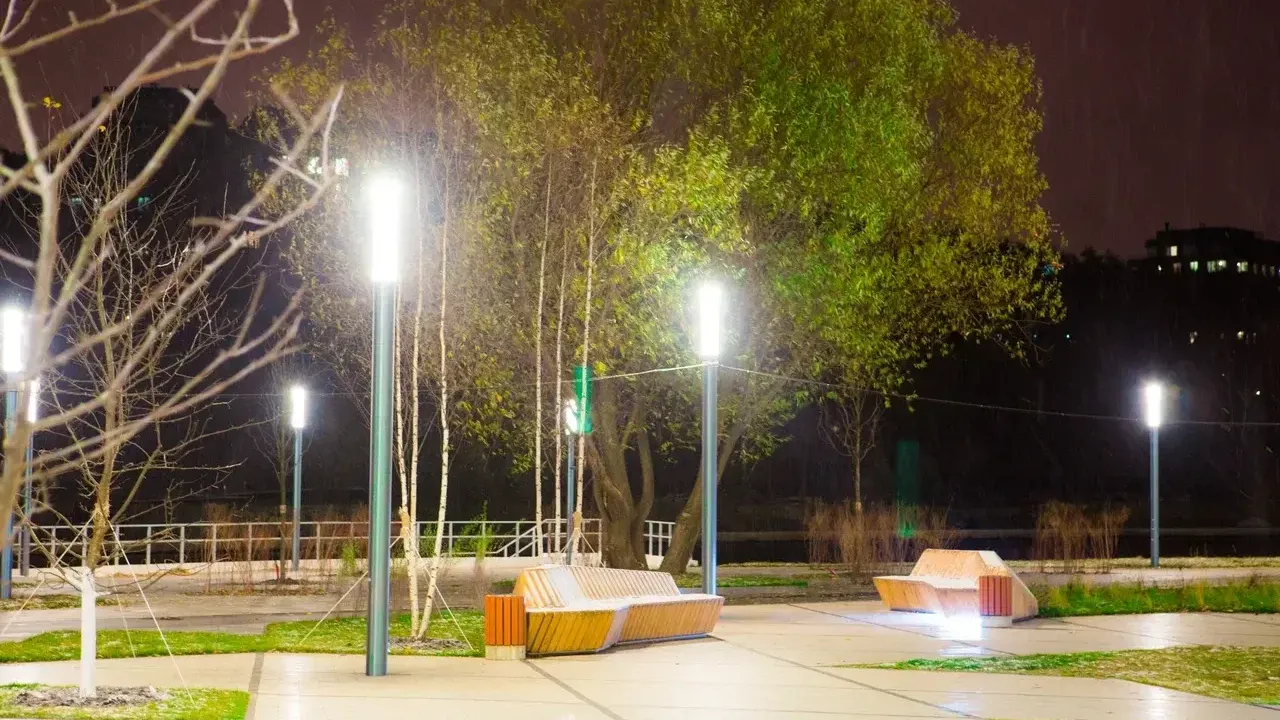 Фото: Министерство благоустройства Московской области