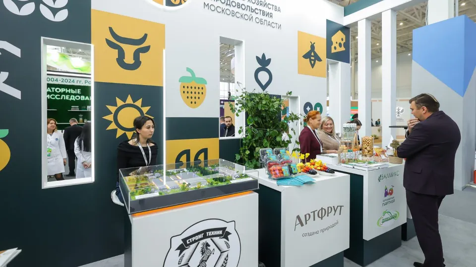 Фото: пресс-служба губернатора Московской области