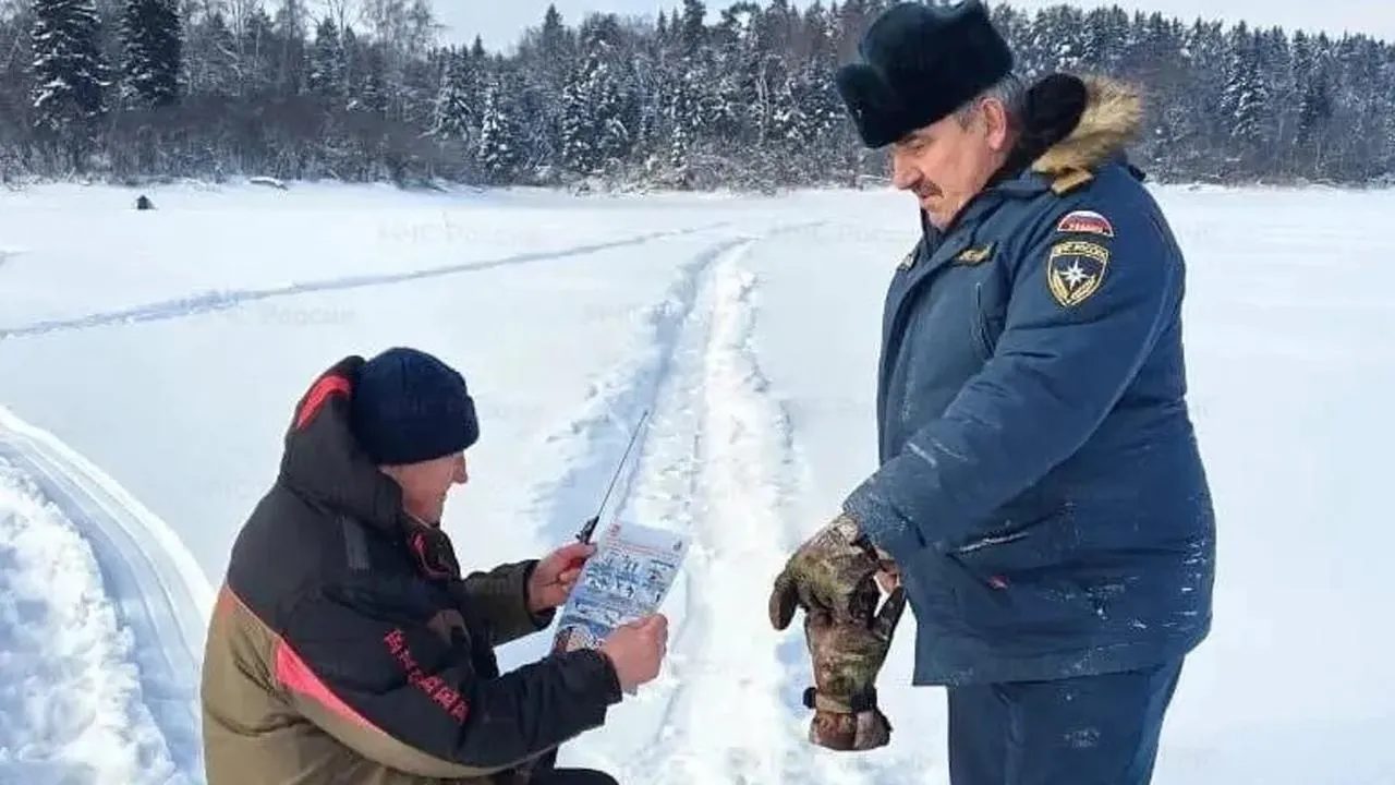 Картинка