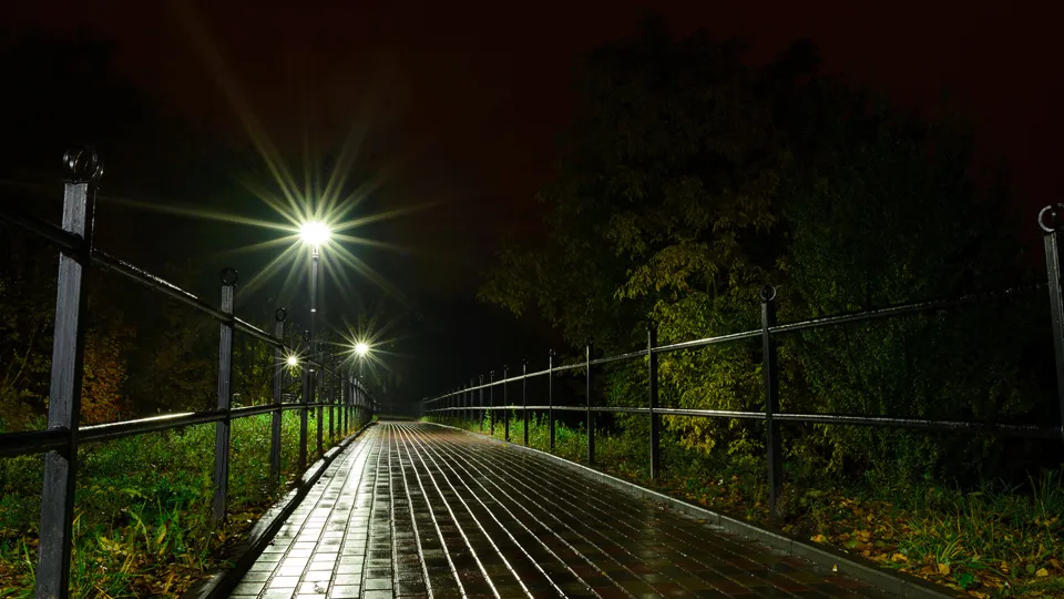 Фото: istockphoto.com/Sergii Kateryniuk