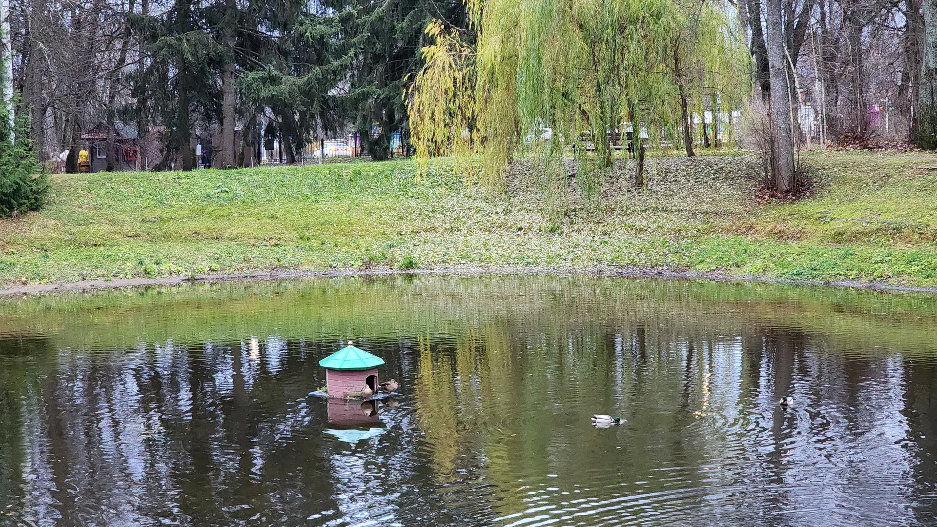 Фото: МедиаБанк Подмосковья/Елена Шумакова