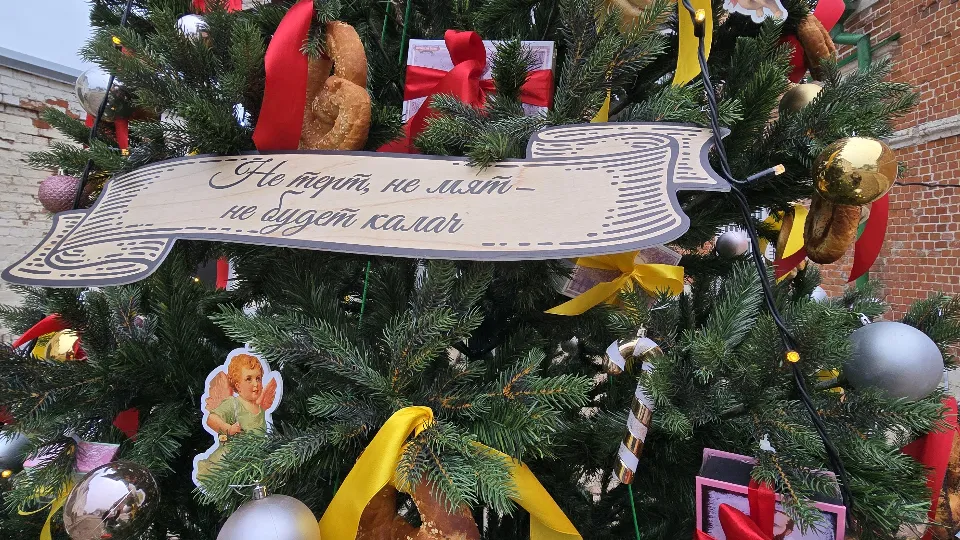 Фото: МедиаБанк Подмосковья/Марина Анисимова