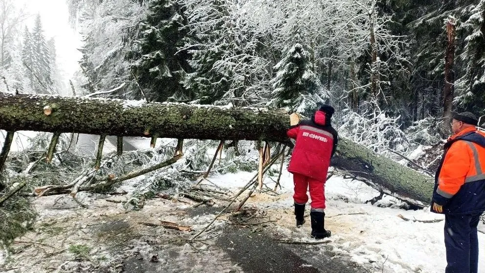 Снежный плен отступает: в Городском округе Пушкинский восстанавливают подачу света