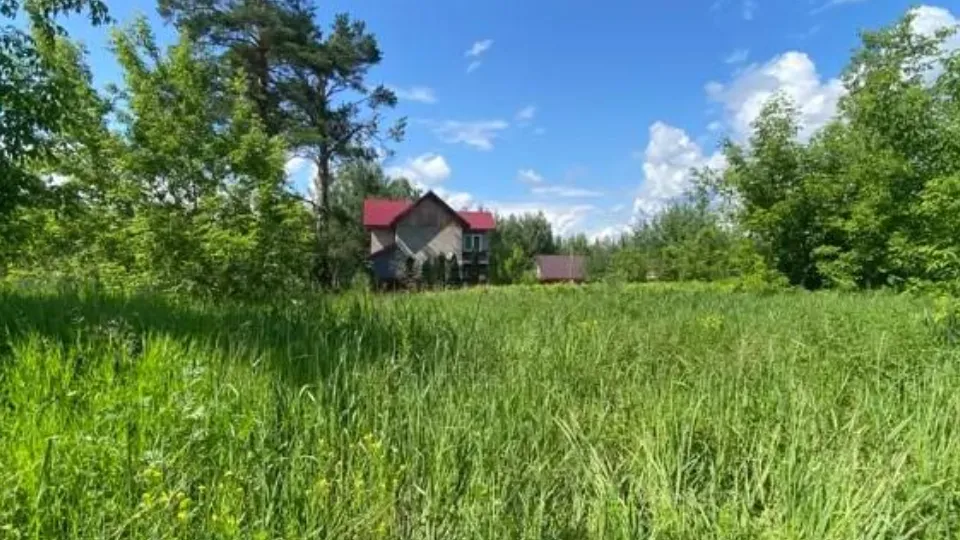 Фото: Комитет по конкурентной политике МО