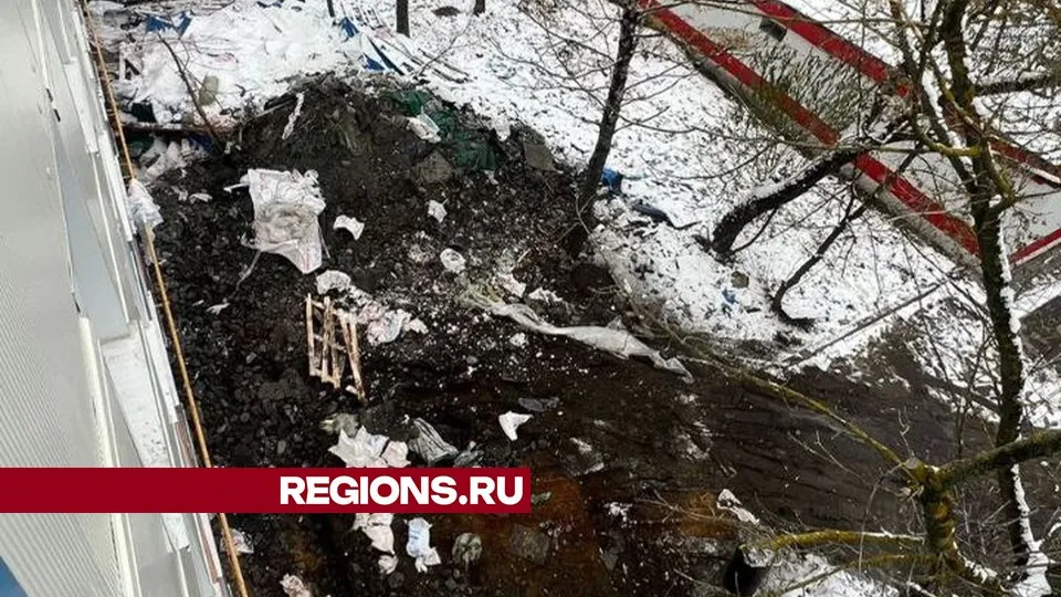 Фото предоставлено жительницей Жуковского