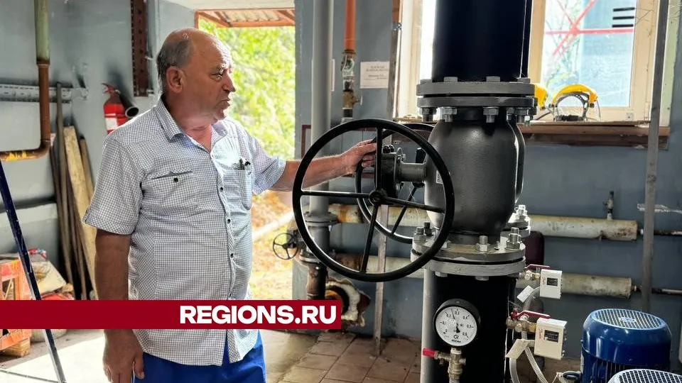 Фото: Ксения Афонина
