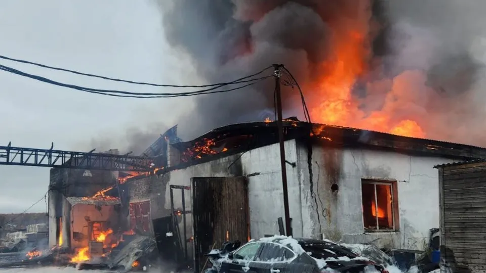 Фото: пресс-служба прокуратуры Московской области
