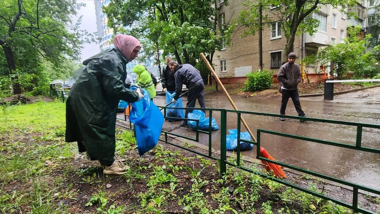В Подмосковье состоится всероссийская неделя субботников «Мы за чистоту»