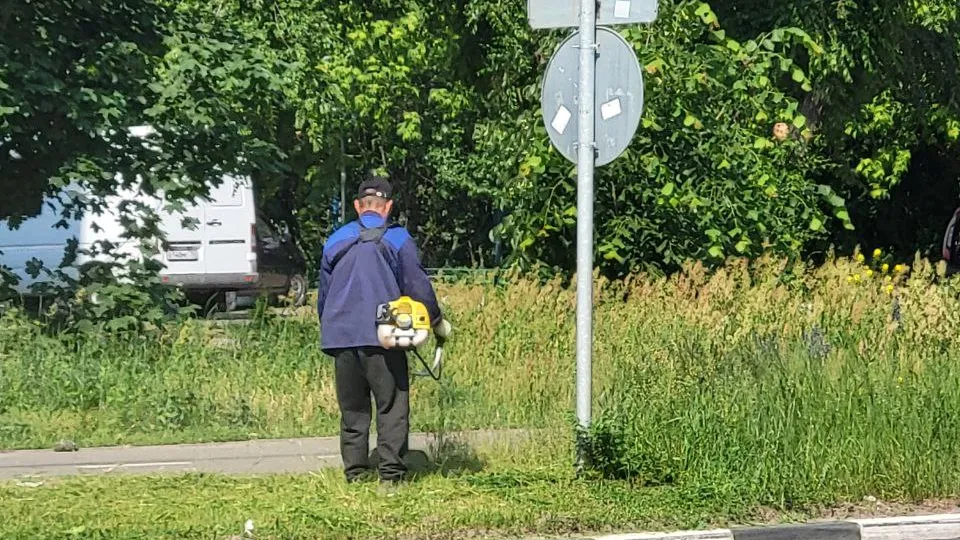 Фото: Николай Ищенко