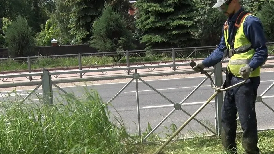 Фото: ТВ «Поиск»
