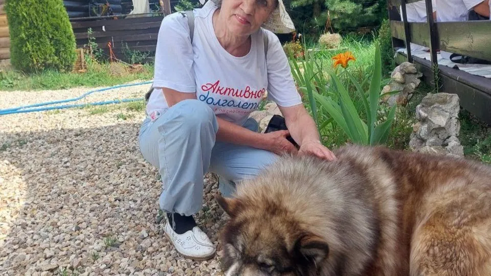 Картинка