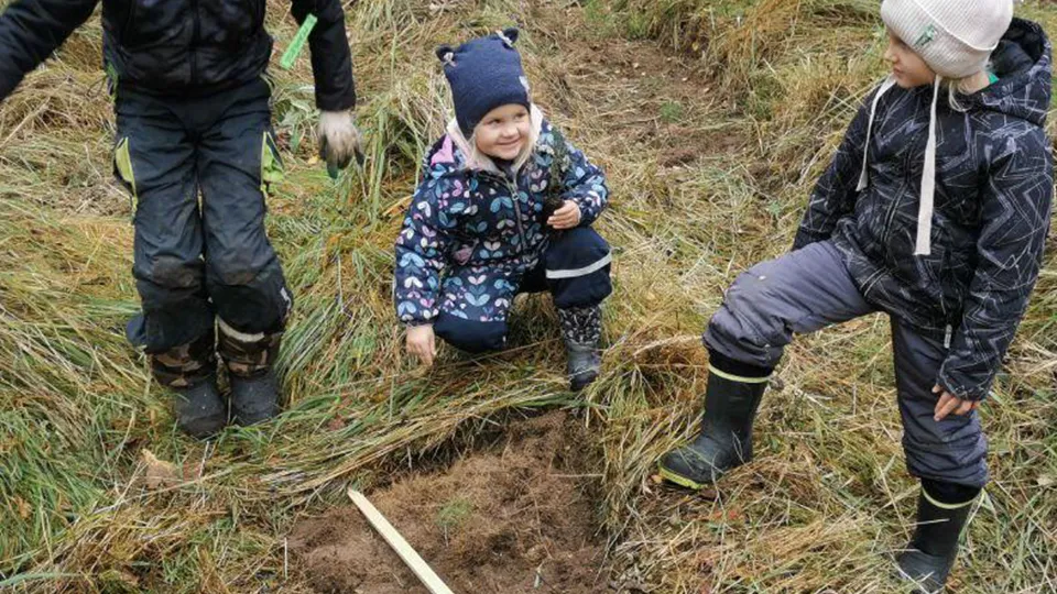 Фото: Комитет лесного хозяйства Московской области