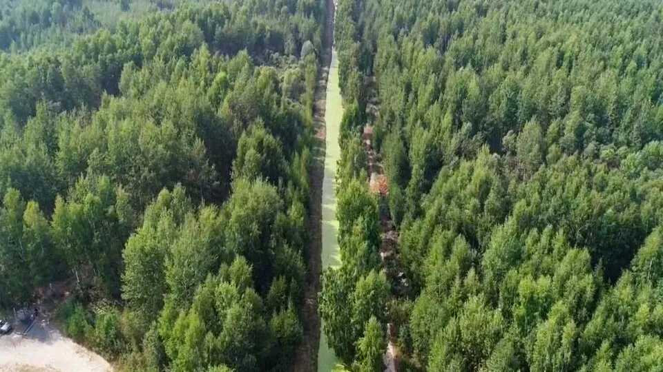 Фото: администрация Орехово-Зуевского г.о.