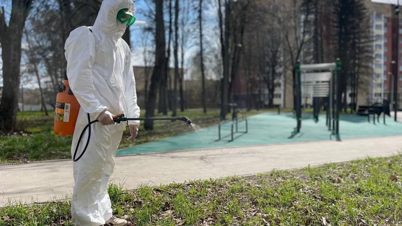 Фото: Пресс-служба Губернатора и Правительства Московской области