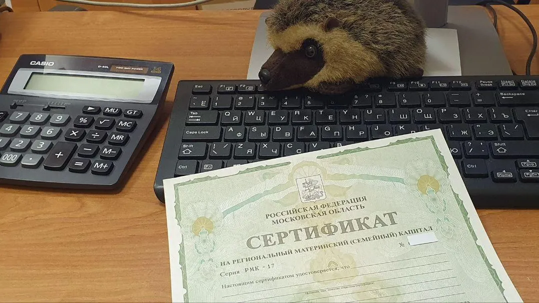Фото: Министерство социального развития МО