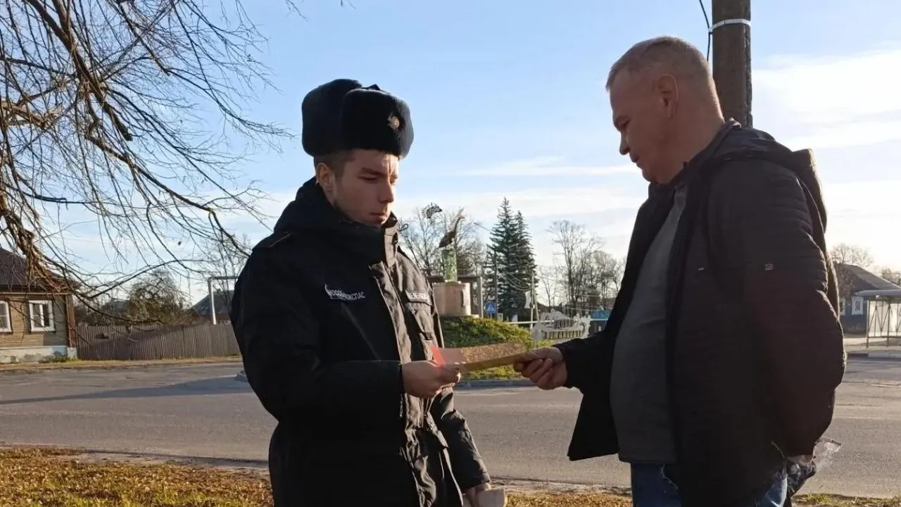Картинка