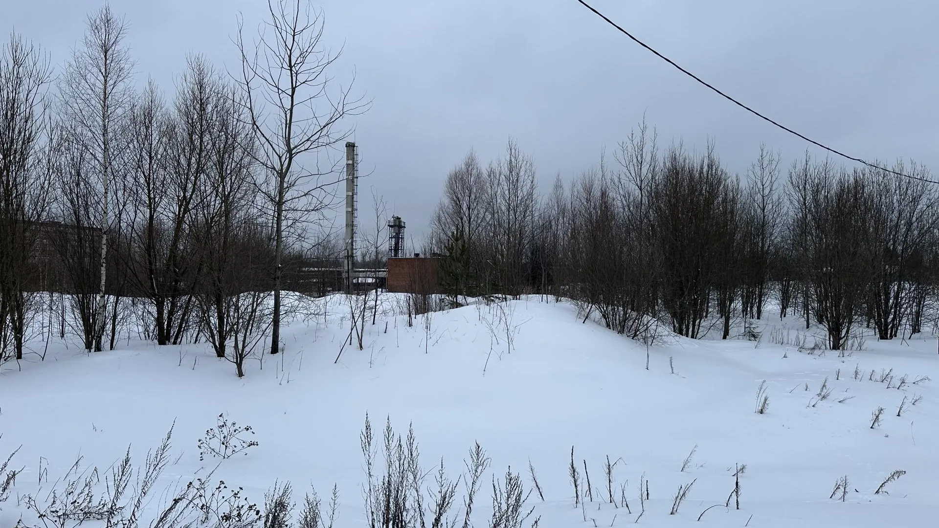 Фото: Комитет по конкурентной политике Московской области