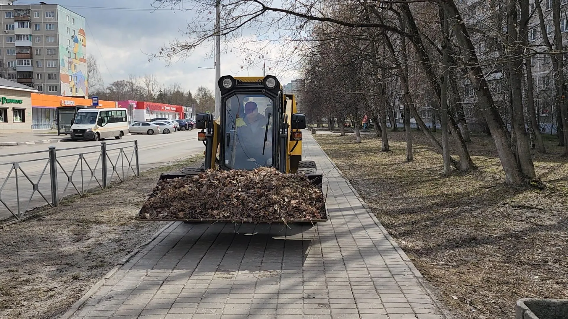 Картинка