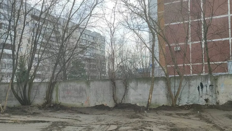 Фото: Мособлархитектура