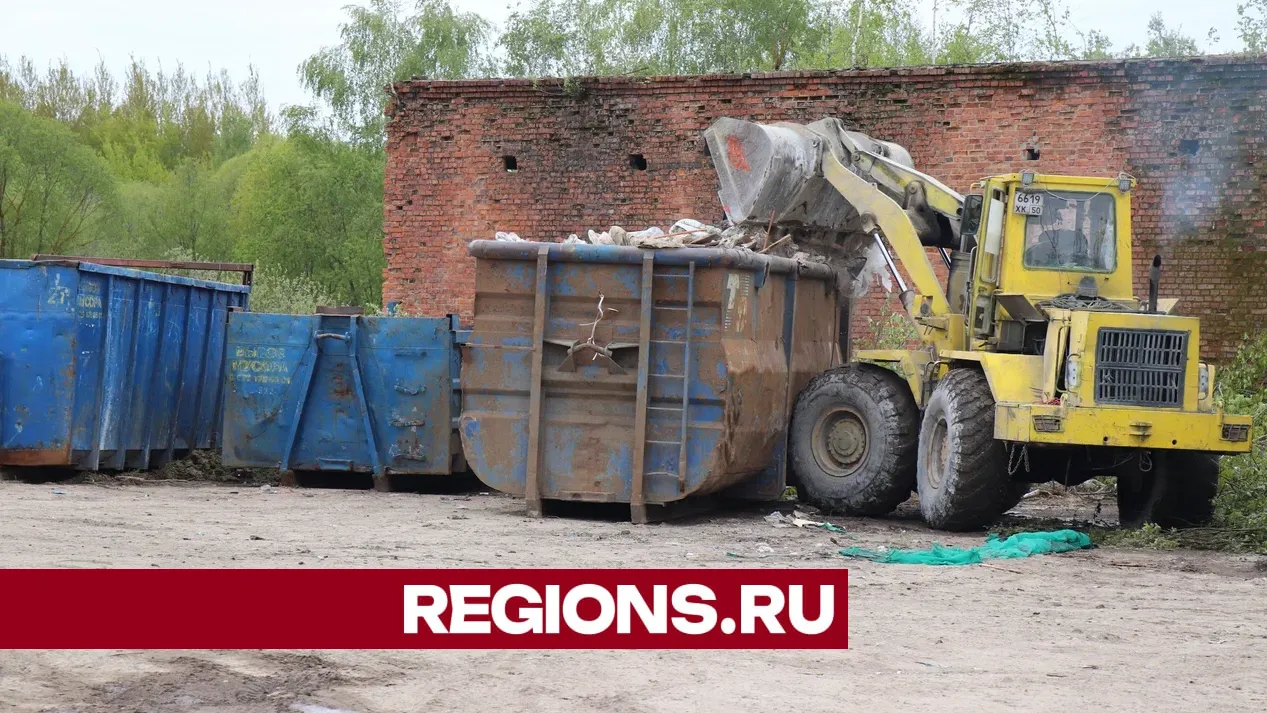 Фото: Regions / Василий Тремасов