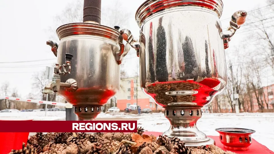 Фото: МедиаБанк Подмосковья/Данила Кирьянов