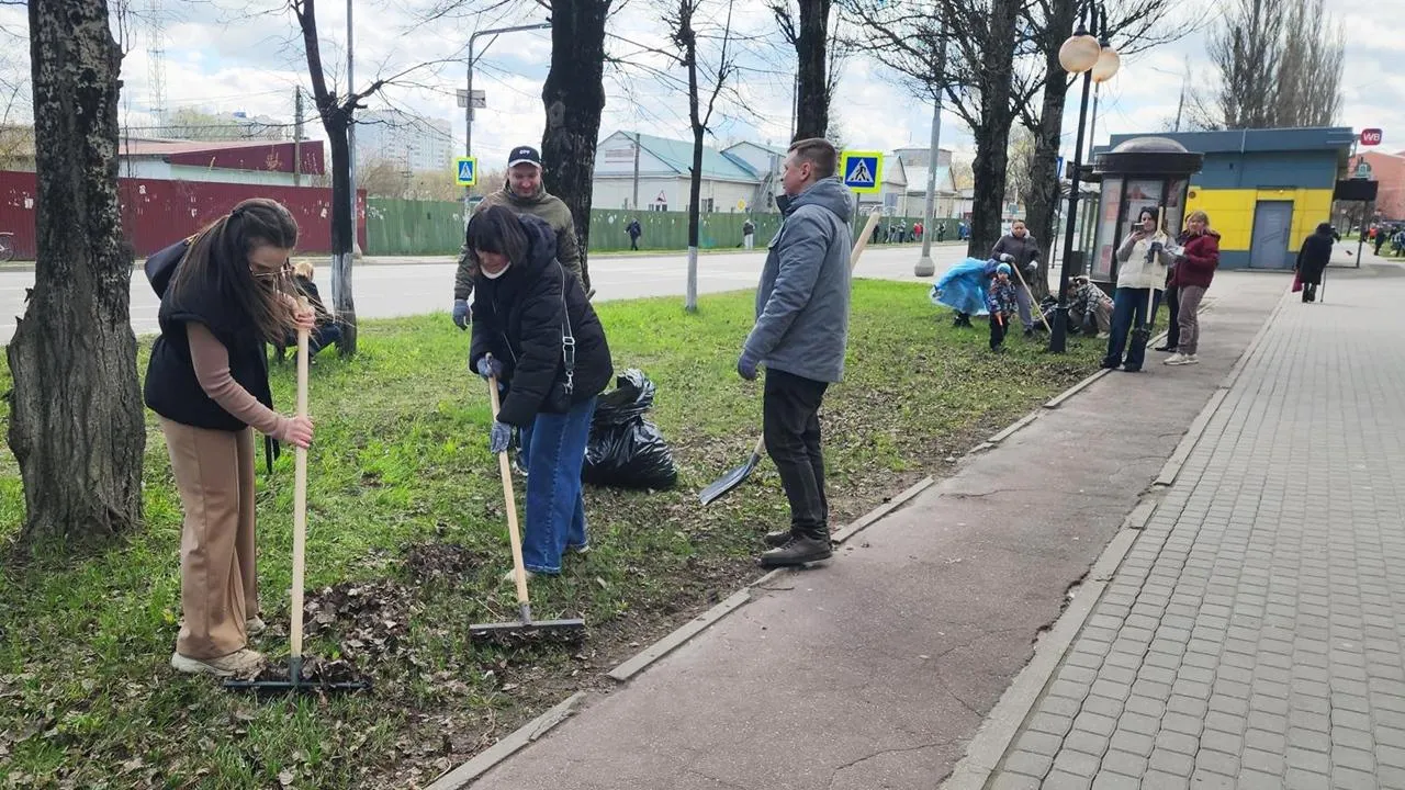 Картинка