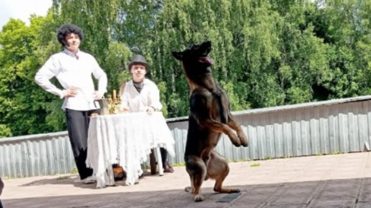 Картинка
