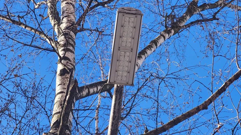 Фото: МедиаБанк Подмосковья/Роман Савельев