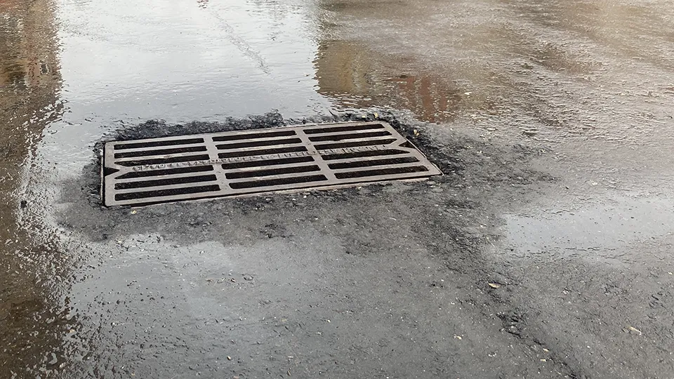 Фото: МедиаБанк Подмосковья/Елена Аботурова